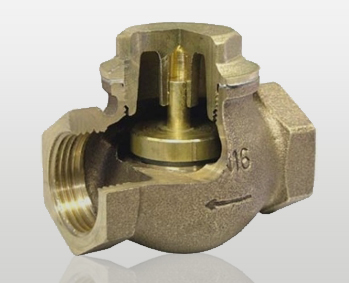 Steam check valve 